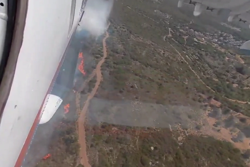 İzmir ve Bursa'da orman yangını... Havadan ve karadan müdahaleler sürüyor