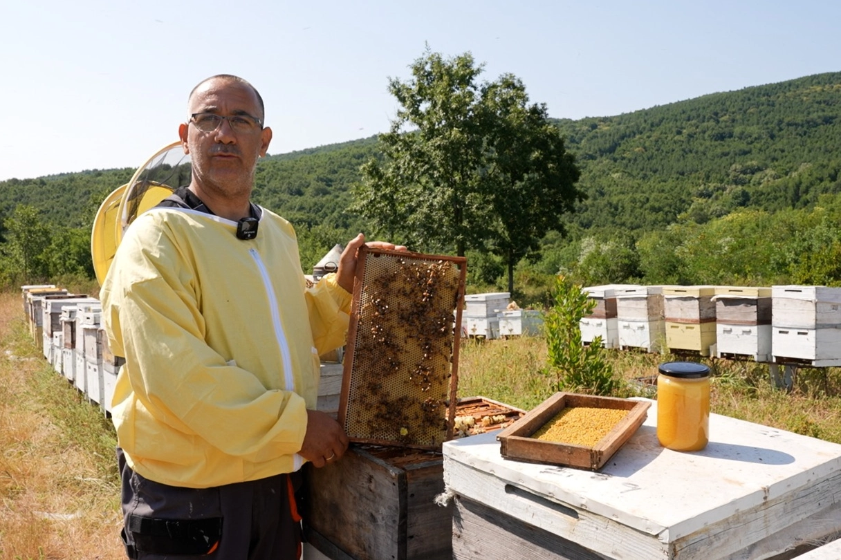 Coğrafi işaretli 'Yalova Kestane Balı' sofralarda parlıyor