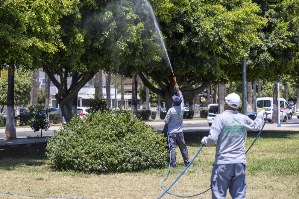 Mersin'de ilaçlama çalışmaları sürüyor