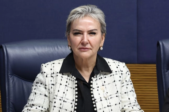 Milletvekili Özdemir 'kalıcı yaz saati'ni sordu