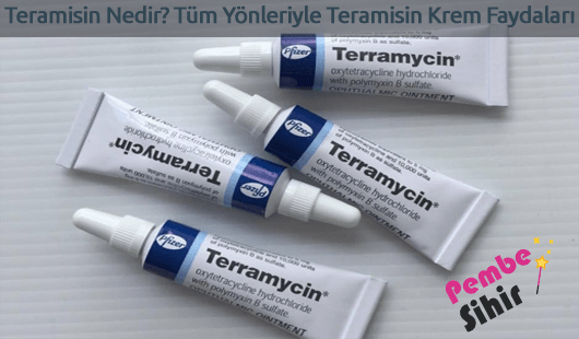 Teramisin Nedir ve Ne İşe Yarar?