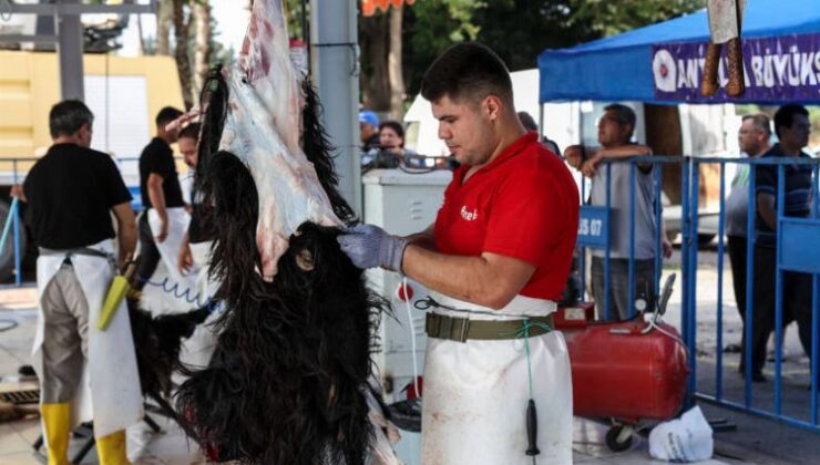 Antalya Büyükşehir’den ücretsiz kurban kesim hizmeti