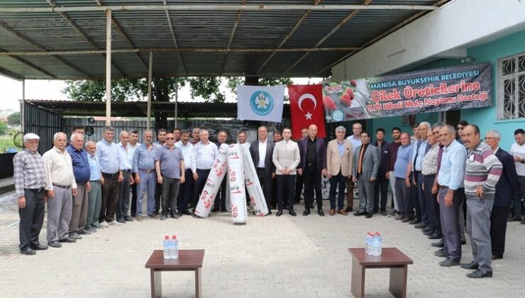 Manisa Büyükşehir’den çilek üretimine destek