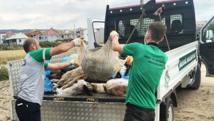 Bursa İnegöl’de 300 ton kurban atığı toplandı