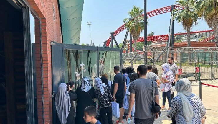 Dilovası’nın özel çocukları doyasıya eğlendi