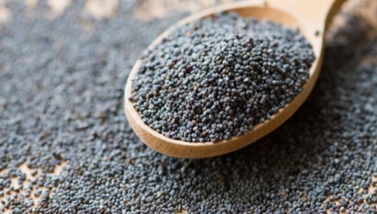 Hububat ve bakliyatta ihracat artışı sürüyor
