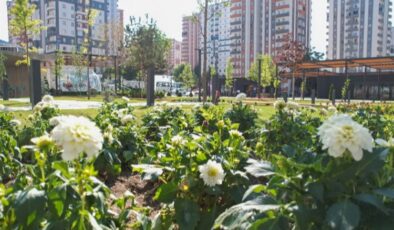 Kayseri Talas’ta rengarenk meydan