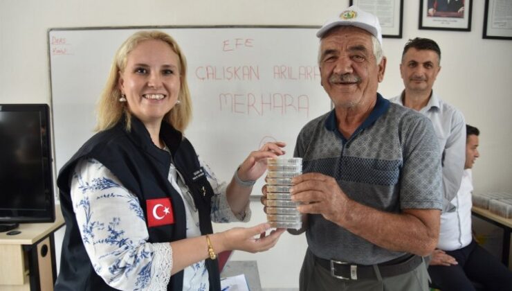 Manisa’da ana arıların dağıtımına devam