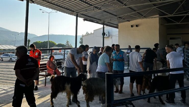 Muğla mezbahaları tam kapasite çalıştı