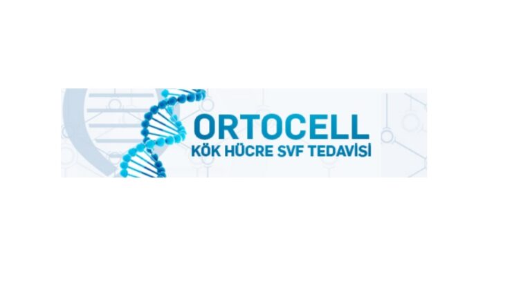Ortocell İle Diz Sağlığınıza Yepyeni Bir Yaklaşım: Diz Kıkırdak Kök Hücre Tedavisi